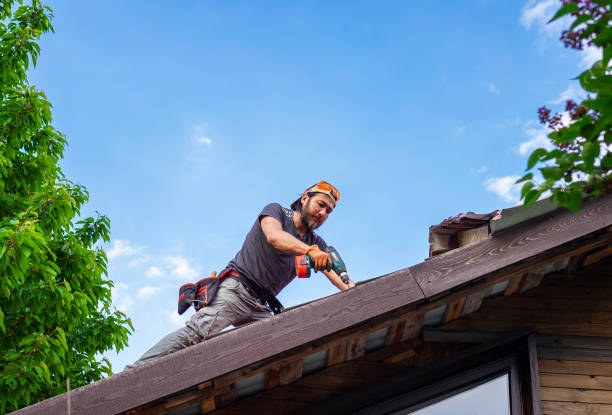 Best Roof Ventilation Installation  in Canfield, OH